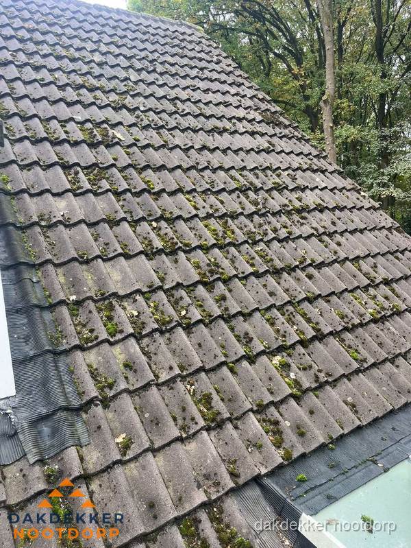 Verweerd pannendak met mosgroei dat renovatie nodig heeft in Nootdorp Verweerd pannendak met mosgroei dat renovatie nodig heeft in Nootdorp
