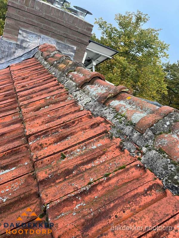 Verweerd hellend dak met mosgroei op nokvorst in Nootdorp Verweerd hellend dak met mosgroei op nokvorst in Nootdorp