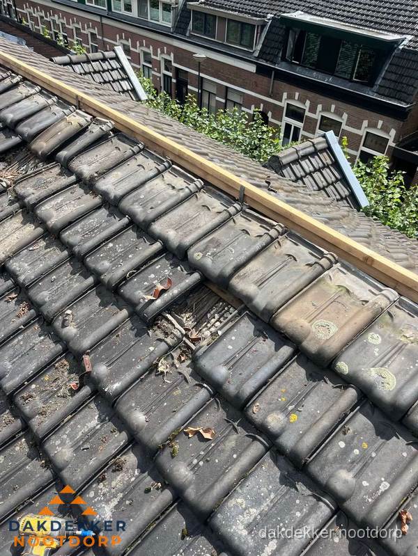Dakonderhoud aan schuin pannendak met nokvernieuwing in Nootdorp Dakonderhoud aan schuin pannendak met nokvernieuwing in Nootdorp